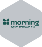morning